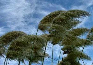 Antalya'da fırtına