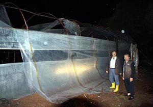Kumluca'da sağanak ve fırtına seralara zarar verdi
