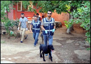 Antalya'da şafak operasyonu