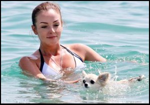 Köpeğini kapan plaja koştu