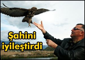 Şahini iyileştirdi