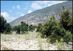 Finike'ye güneş enerji santrali