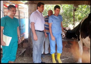 Sonbahar şap aşılama kampanyası başladı