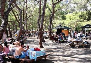 Sarısu'da 9 günde 200 bin kişi piknik yaptı