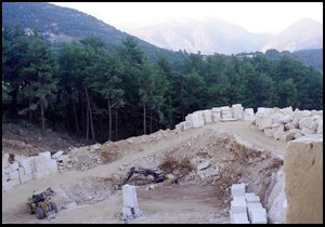 Finike'de sedir katliamına mahkemeden 'iptal' kararı