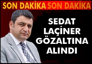 Sedat Laçiner gözaltında