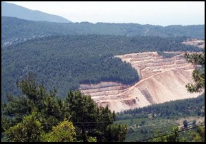 Sedir katliamına bilirkişi müjdesi