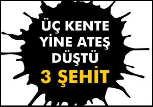 Üç kente şehit ateşi düştü