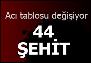 Şehit sayısı 44'e ulaştı