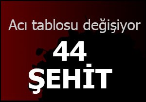 Şehit sayısı 44 e ulaştı