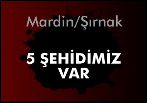 5 şehidimiz var