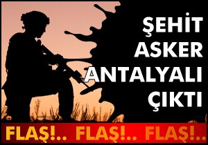 Şehit asker Antalyalı çıktı