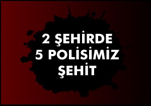 5 polisimiz şehit