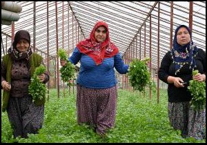 Seradan çıkıp spora koşuyorlar