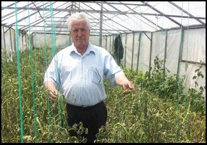 Emekli öğretmenin serasını kuruttular