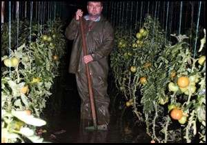 Dere taştı seraları su bastı