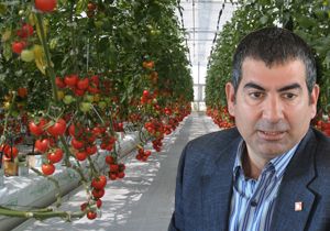 Sapan 'Seracılık' işine el attı