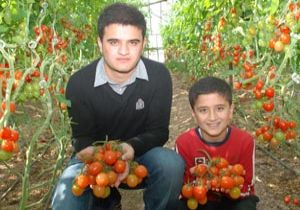Seracının yeni gözdesi