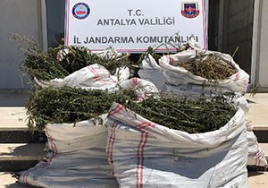Serik'te uyuşturucu operasyonu