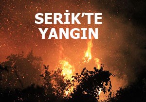 Serik te yangın korkuttu