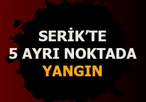 Serik'te 5 ayrı noktada yangın