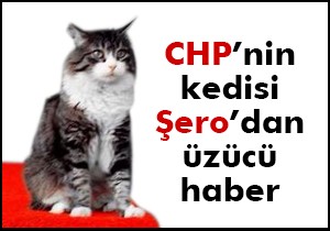 Şero'nun Twitter hesabı kapanıyor