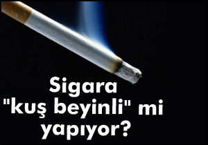 Sigara “kuş beyinli” mi yapıyor