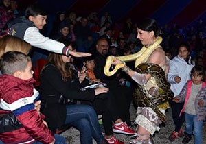 'Arena Sirki' hayran bıraktı