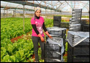 Suriyeliler antalya'dan gitmek istemiyor