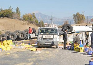 Bakliyat yüklü TIR devrildi