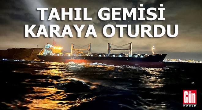 Tahıl gemisi karaya oturdu