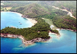 Tamince'nin Phalesis rüyası bitti