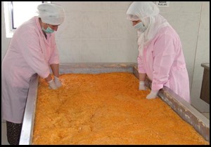 Glutensiz tarhana YÖREX'te