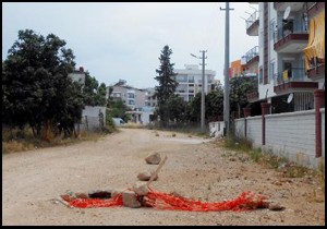 Toza karşı taşlı mücadele