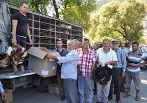 Finike Ziraat Odası'ndan üyelere 10 bin tavuk