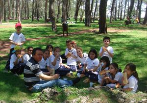 Artık piknik zamanı