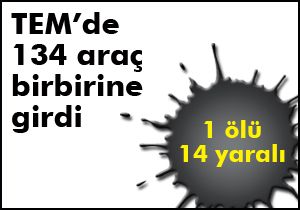 TEM otoyolu nda 134 araç birbirine girdi