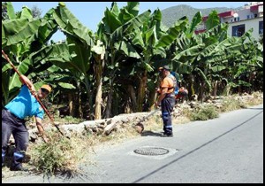 Alanya da bayram temizliği