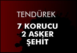 Terdürek Dağı'nda 9 şehit