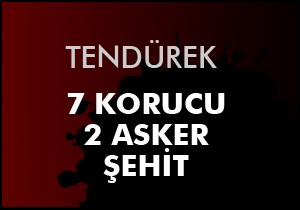 Terdürek Dağı nda 9 şehit