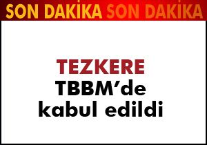 Tezkere Meclis'ten geçti