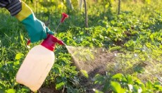 'B-Reçete' uygulaması başlıyor