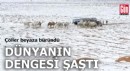 'Dünyanın dengesi şaştı' dedirten fotoğraf