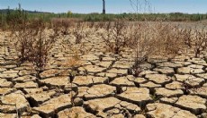 'Türkiye'de kronik kuraklık sürüyor'