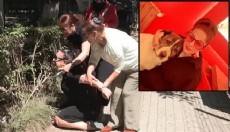 10 yıldır baktığı köpeği barınakta ölü buldu