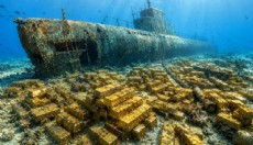2,2 ton altın 82 yıldır okyanusun dibinde bekliyor
