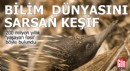200 milyon yıllık 'yaşayan fosil' böyle bulundu