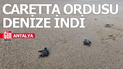 Antalya'da caretta ordusu denize indi