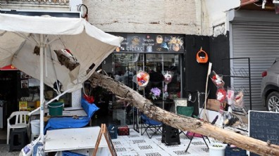 Antalya'da devrilen ağaçtan şemsiye sayesinde kurtuldu