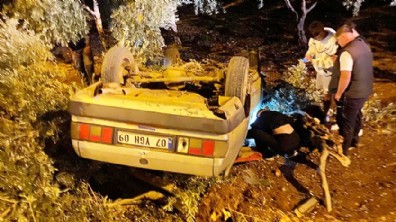 Antalya'da otomobil zeytin bahçesine uçtu